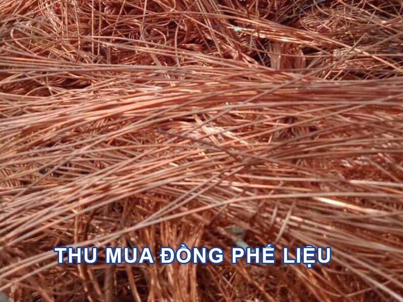 Thu mua nhựa phế liệu tổng hợp tại Tây Ninh
