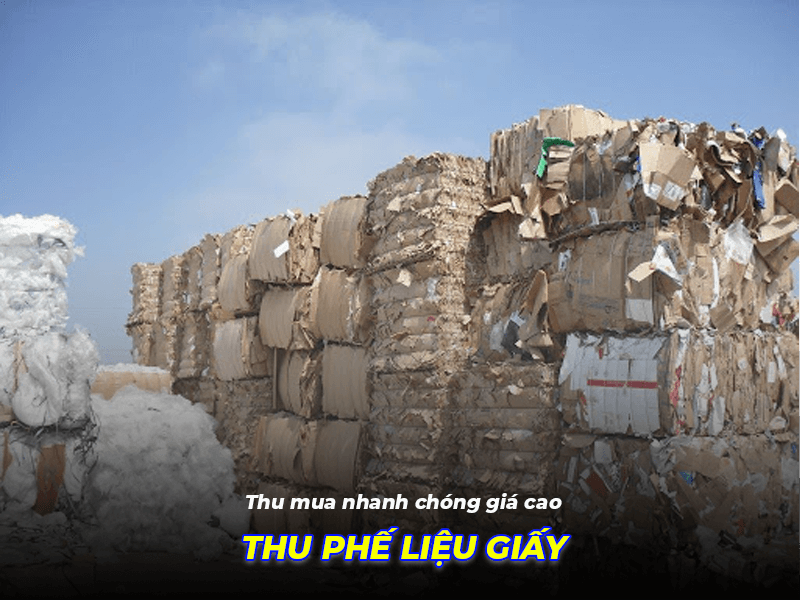 Công ty thanh lý, thu gom phế liệu giấy giá cao