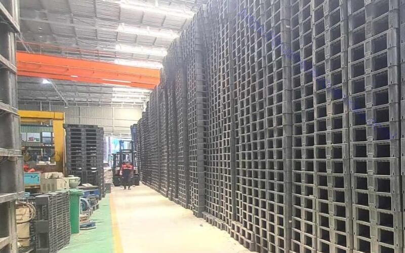 thu mua pallet nhua thanh ly so luong lon gia cao