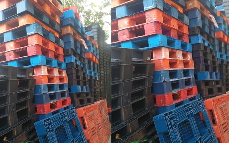 dich vu thu mua pallet nhua cu uy tin thanh toan ngay